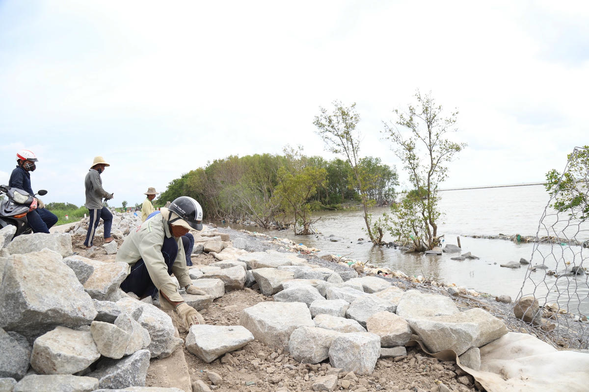 Công nhân trên công trường xây dựng tuyến đê biển Tây.