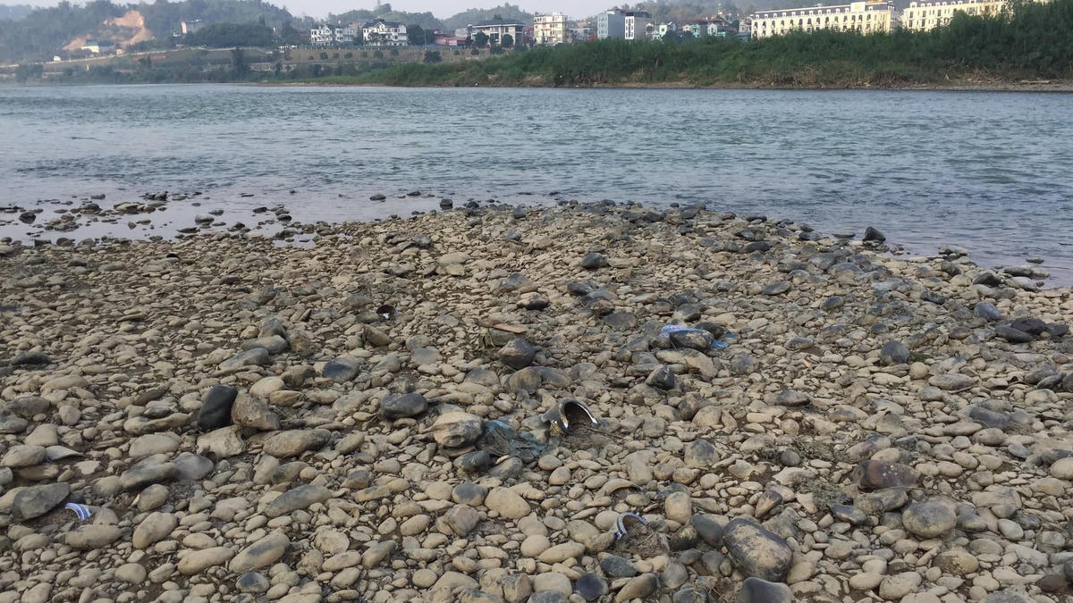 Theo ông Hải, năm trước cũng từng xuất hiện nước sông Hồng đổi màu xanh nhưng qua quan sát, năm nay nước trong xanh hơn nhiều.