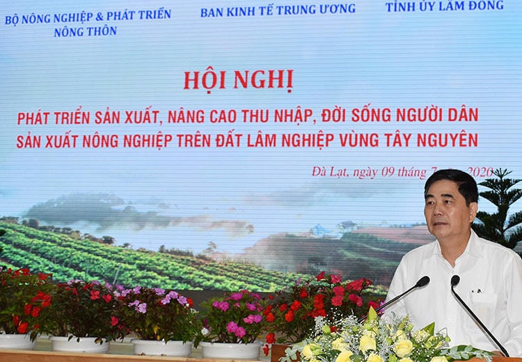 Ảnh: ông Cao Đức Phát, Phó Trưởng ban Thường trực Ban Kinh tế Trung ương phát biểu tại hội nghị.