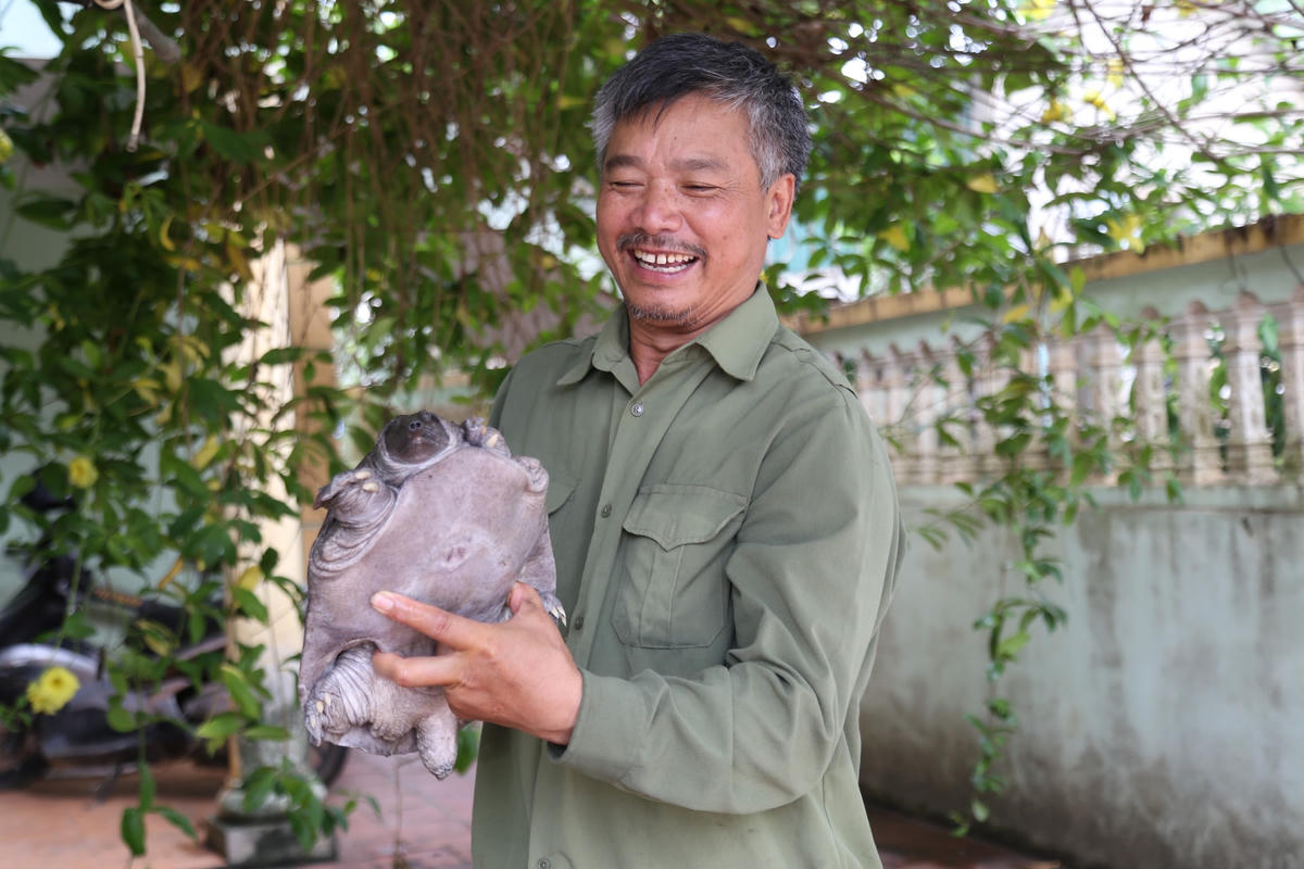 Nuôi ba ba giống và thương phẩm mang lại giá trị kinh tế cao.