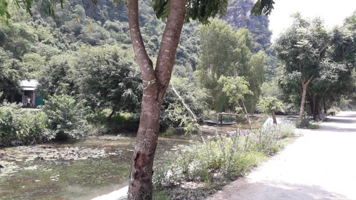 (Tuyến kênh còn lại chưa bị san lấp)