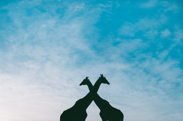 [ẢNH] 15 bức ảnh tinh tế tuyệt vời giúp bạn thư giãn