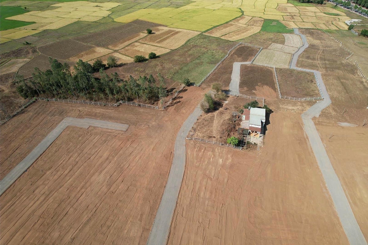 Môi giới quảng cáo “thích hợp để làm homestay nghỉ dưỡng, nhà vườn”, nhưng theo tìm hiểu của phóng viên, khu đất này hiện là đất trồng cây hằng nằm, không được xây dựng.