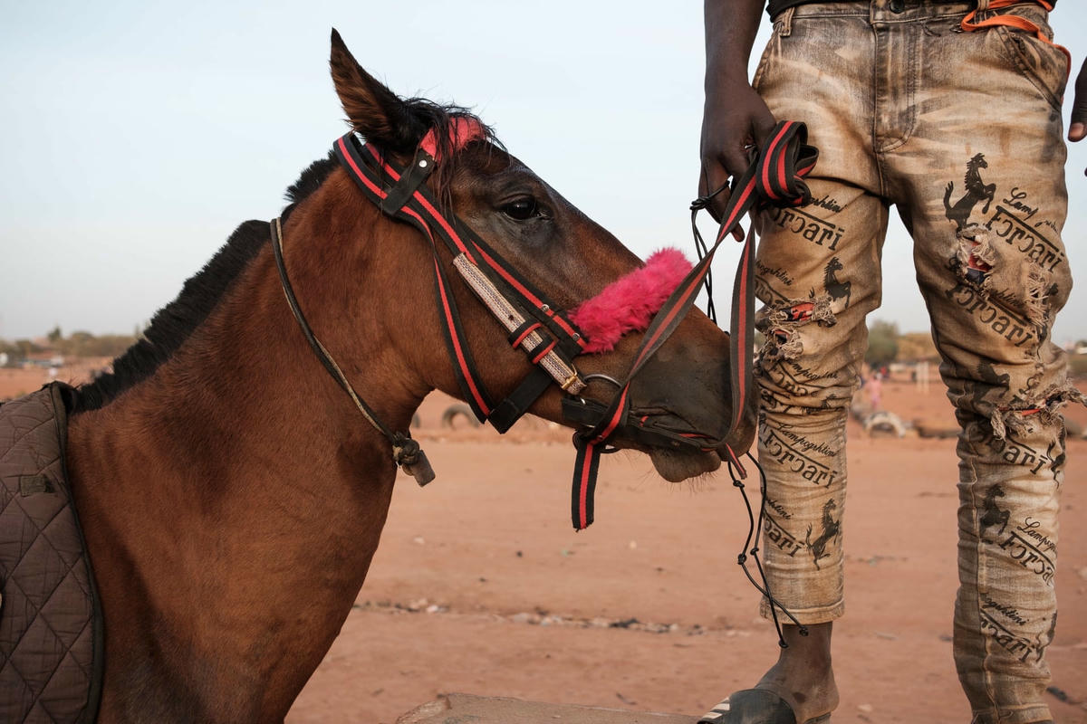 Một tay đua trẻ tuổi đứng cạnh con ngựa của mình sau khi khởi động. Ảnh: Guy Peterson / The Guardian.