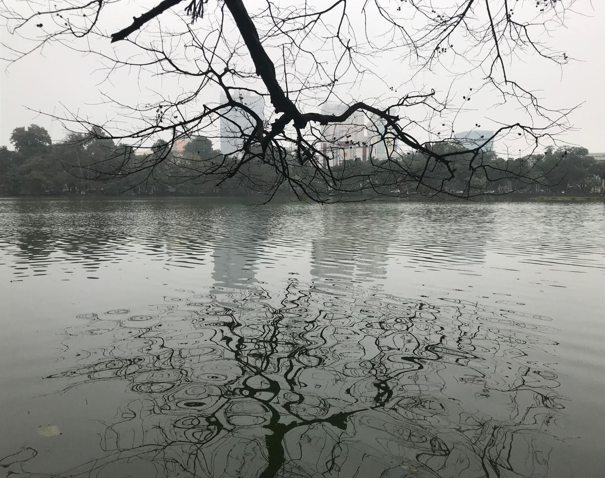 Mặt nước Hồ Gươm cũng trở nên sinh động hơn khi phản chiếu những tàng cây ven hồ.  