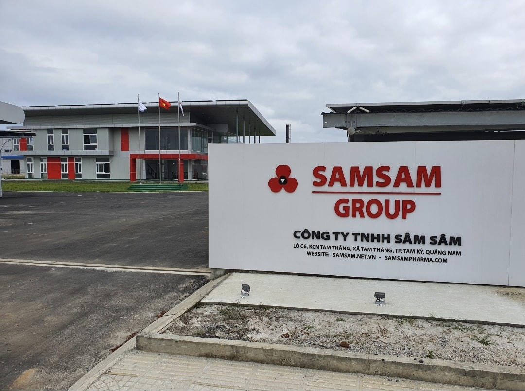 Sâm Sâm Group nơi tiên phong cho việc nuôi trồng sâm Ngọc Linh bằng phương pháp cấy mô.