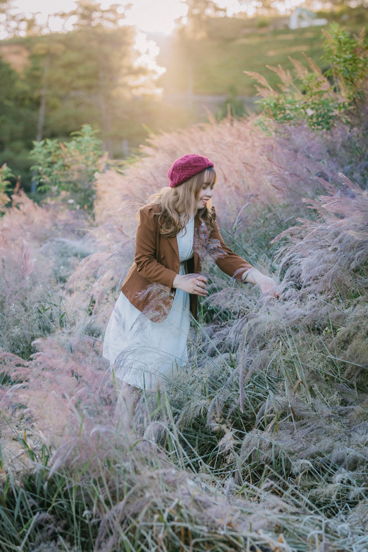 Những ngày đầu đông, bông cỏ lau ở đây nở rộ, đỏ hồng vào lúc sáng sớm. “Cỏ lau hồng biến đổi màu theo từng giờ trong ngày. Tầm 5h30 - 7h30 sáng, du khách có thể ngắm bình minh, sương tuyết đọng lại trên ngọn lau, nhìn lau dần chuyển hồng rực rỡ khi nắng lên. Tầm 8h sáng, màu hồng của lau sẽ đẹp nhất”, anh Đồng Ngô chia sẻ.