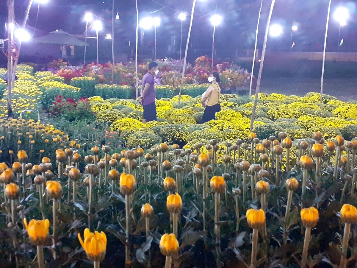 Chậu cúc đại đóa lớn có giá 2 triệu đồng/cặp, còn lại dao động từ 500.000 đồng đến 1,5 triệu đồng/cặp.