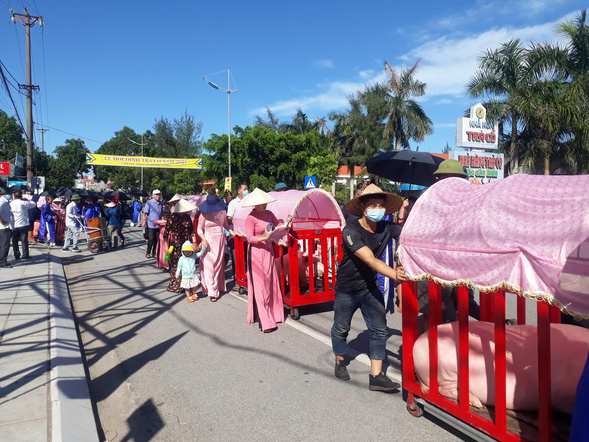 Đưa ông Voi vào Đình làm lễ.