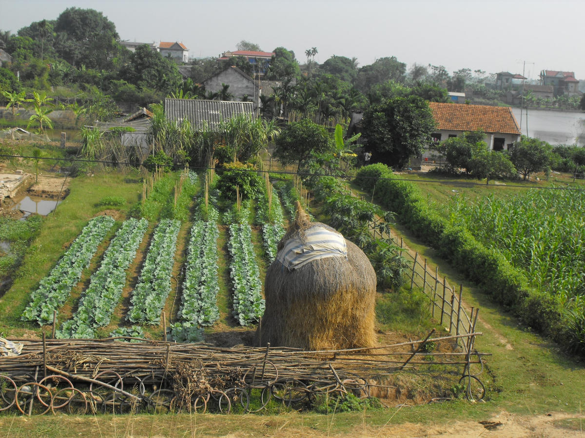 Ảnh: Việt Khánh.