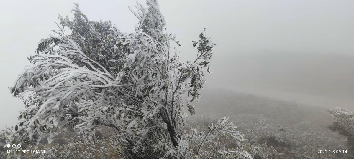 Những ngày tới dự báo thời tiết tiếp tục rét đậm, rét hại, có thể gây ra băng giá, mưa tuyết.