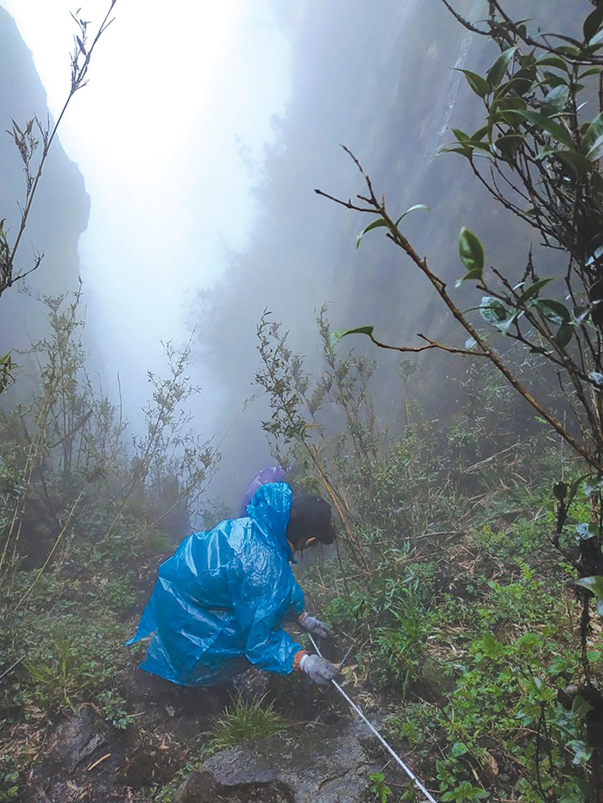 Nhiều đoạn phải bám vào dây mới có thể leo được.