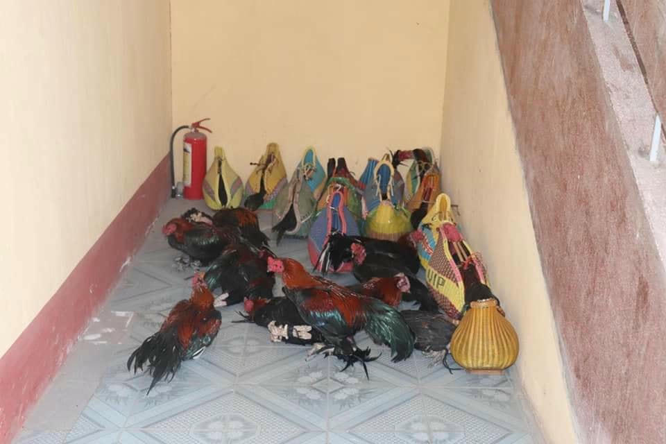 Tang vật vụ án.