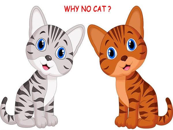 Trong cung hoàng đạo Trung Quốc, Thỏ là con giáp thứ 4 thay vì Mèo - loài vật tên Mão trong 12 con giáp Việt Nam. Ảnh: TopChina.