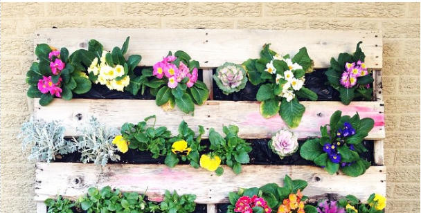 [ẢNH] 19 cách để trồng một khu vườn đẹp trong nhà của bạn