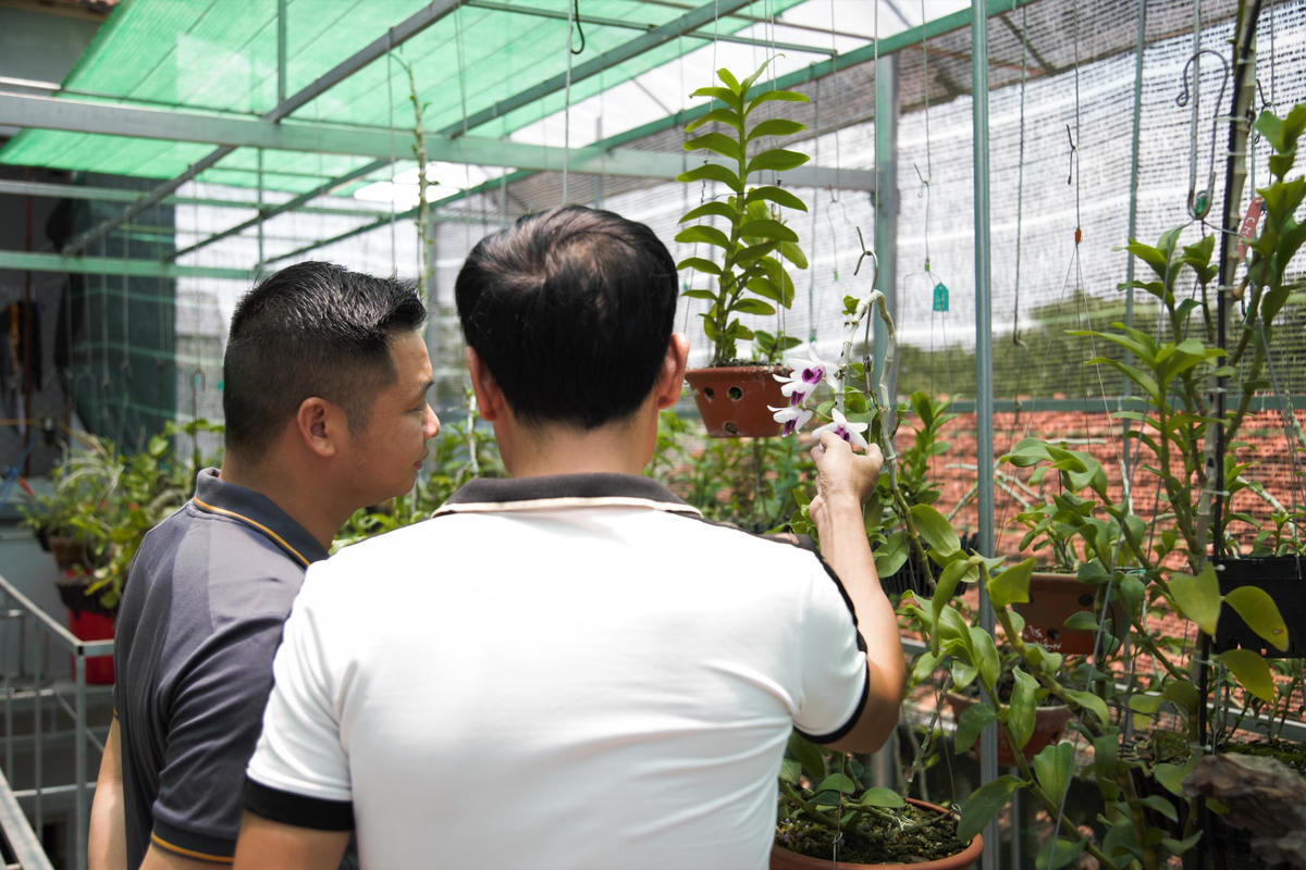 Khoảng đầu năm 2005, nhờ kinh doanh cây cảnh anh có được một cơ ngơi khá giả, nhưng về sau cây cảnh bão hòa, giá trị thấp khiến anh lâm vào cảnh nợ nần.