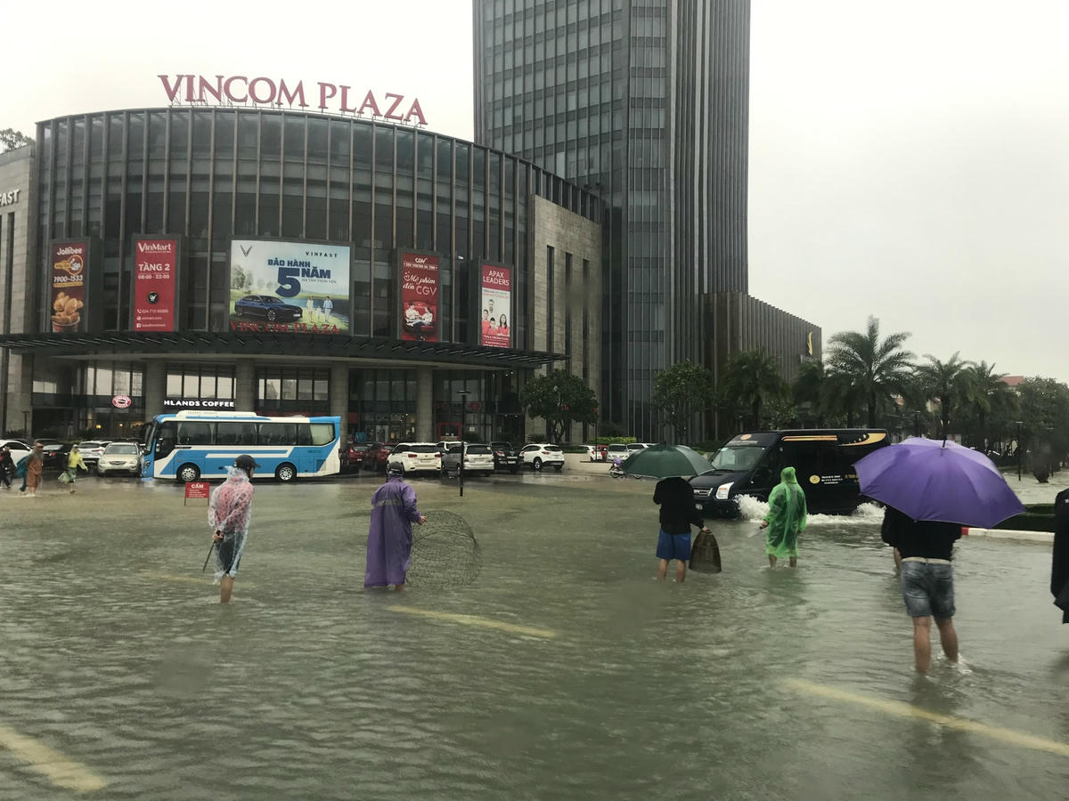 Rất nhiều người dân dùng nơm, vó để bắt cá ở khu vực trung tâm TP Hà Tĩnh.