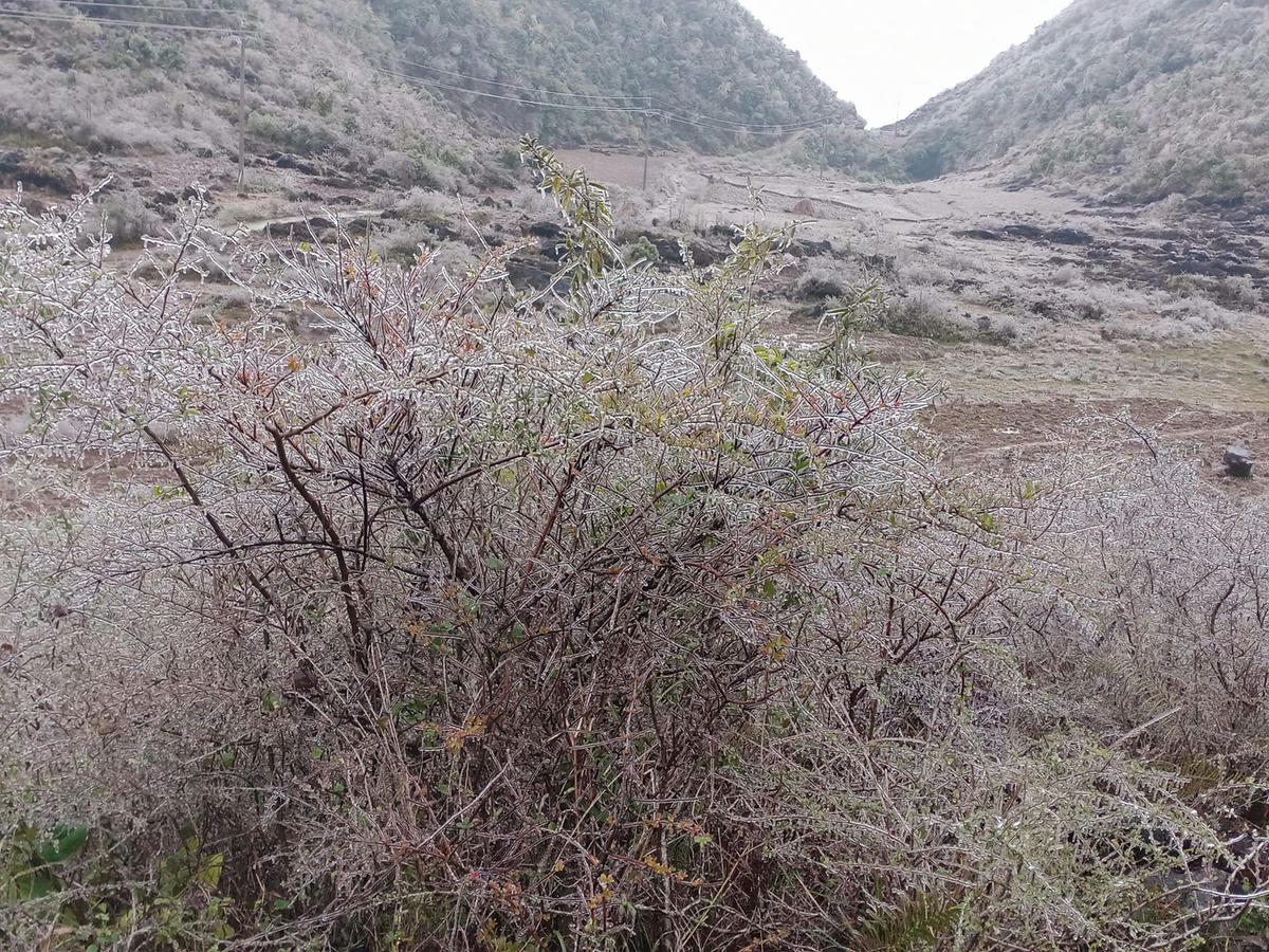 Băng giá xuất hiện trên diện rộng tại huyện Mèo Vạc 