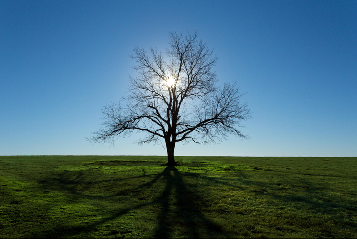 [ẢNH] 15 bức ảnh tinh tế tuyệt vời giúp bạn thư giãn