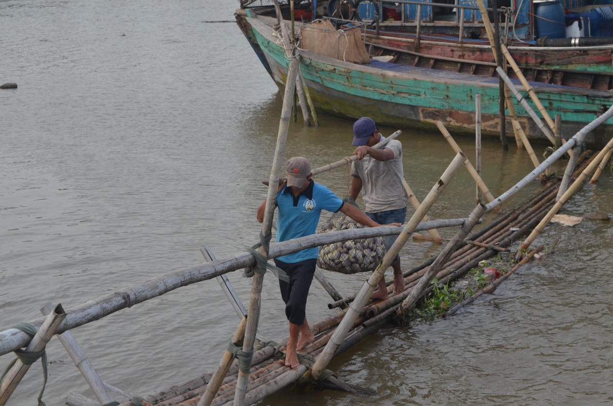 Thủy sản, nguồn lợi lớn từ Vườn quốc gia Xuân Thủy.