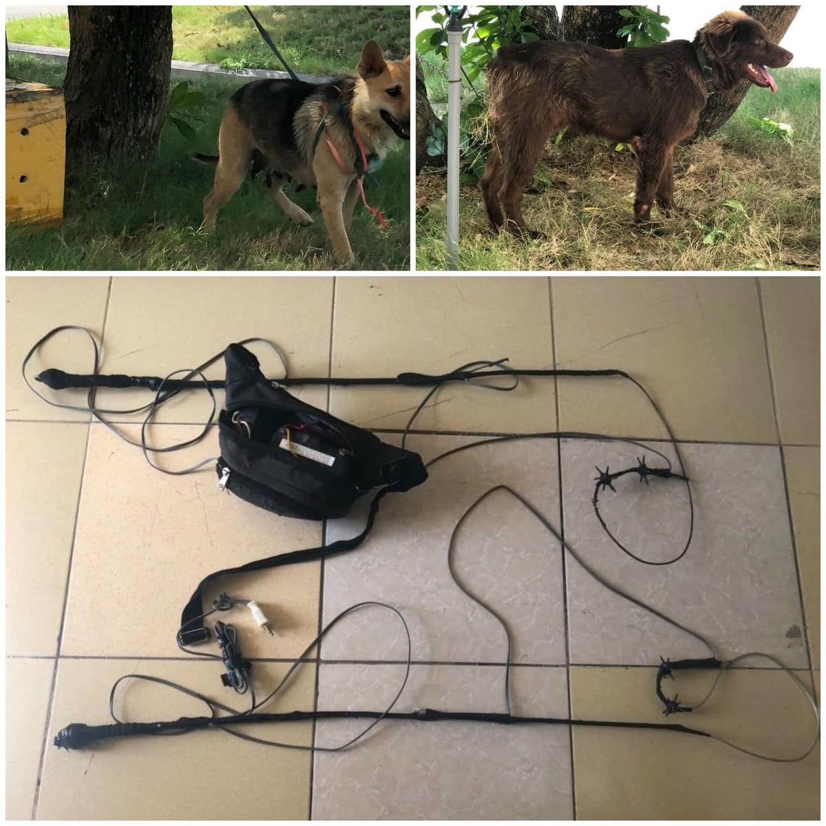 Tang vật của vụ án.