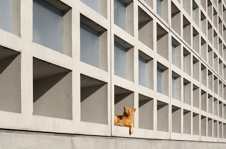 [ẢNH] 15 bức ảnh tinh tế tuyệt vời giúp bạn thư giãn