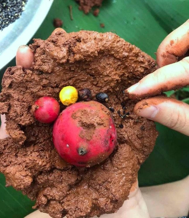 Một bom có năm loại hạt.