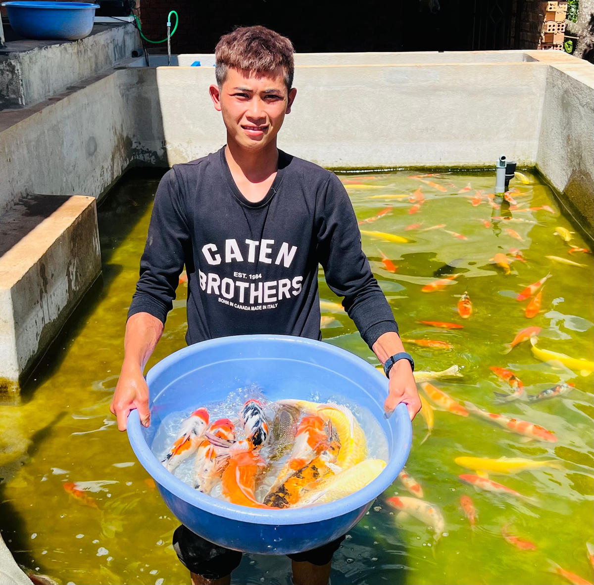 Chàng trai trẻ thu nhập tiền tỉ mỗi năm nhờ nghề nuôi cá Koi.