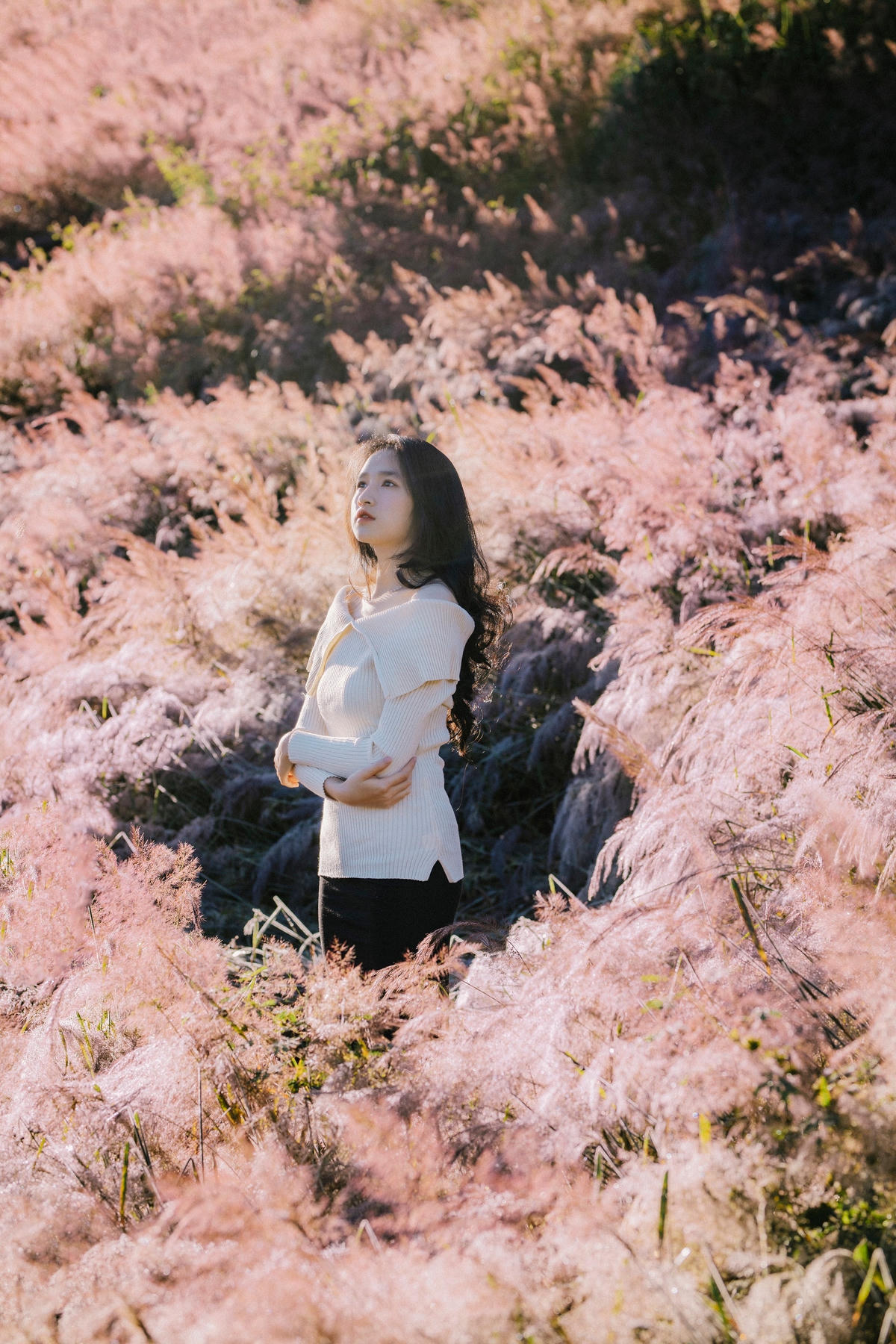 Cỏ lau ở đèo Sacom Đà Lạt có thân mảnh mai, gầy hơn các vùng đồng bằng, bãi bồi ven sông. Bông cũng nhỏ hơn vì điều kiện sống khắc nghiệt ở vùng cao nguyên, đồi núi.