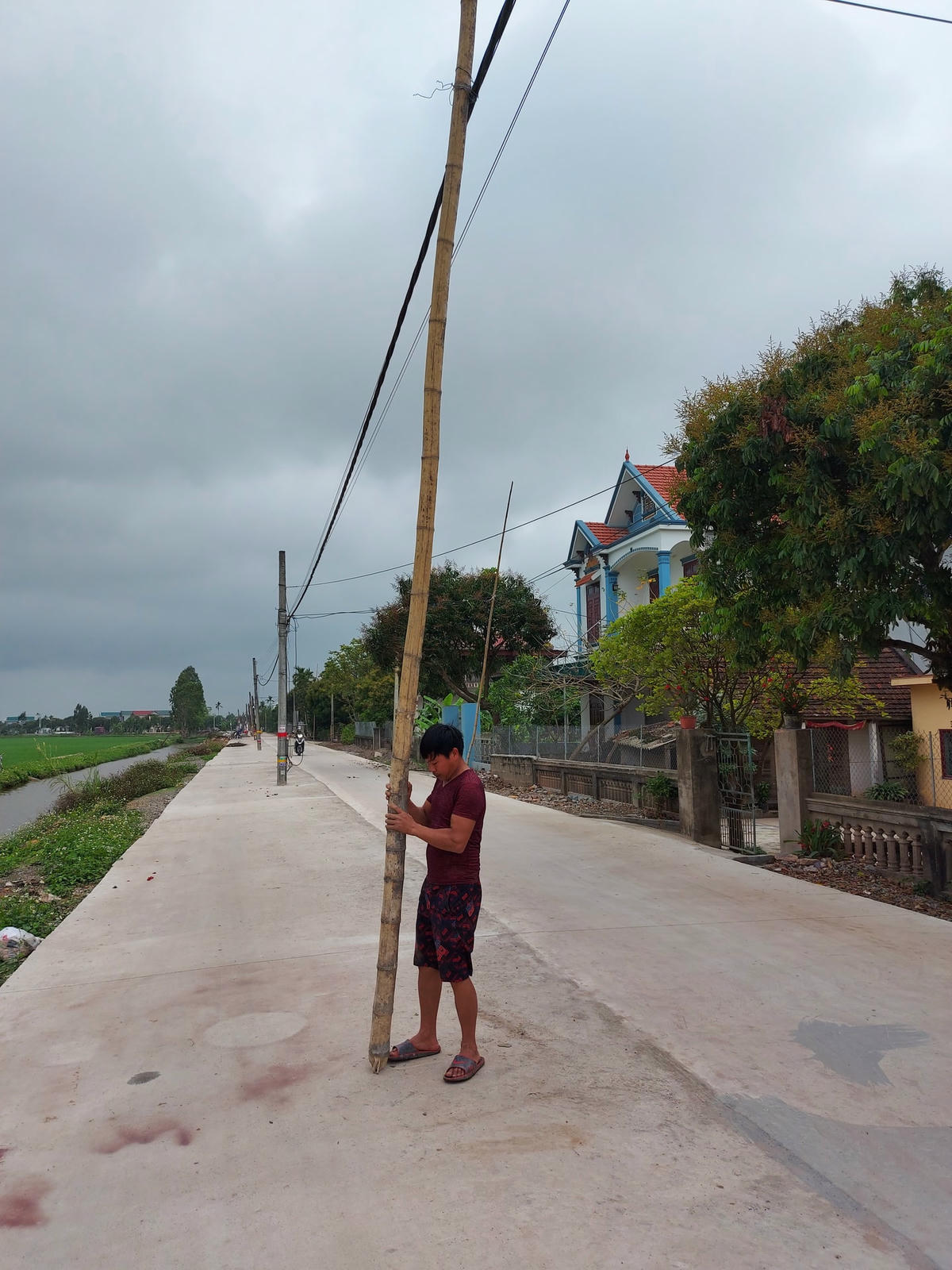 Anh Trần Văn Dương, 32 tuổi, trú tại thôn 1 xã Khánh Thủy phải dùng luồng để chống đỡ đường dây bị võng. Anh chia sẻ: “Khi thi công mở rộng đường, các đơn vị liên quan hứa sẽ di dời các cây cột điện đến đúng vị trí. Tuy nhiên, đến nay, đường đã đổ xong mà cột điện vẫn chưa hề được di dời”.