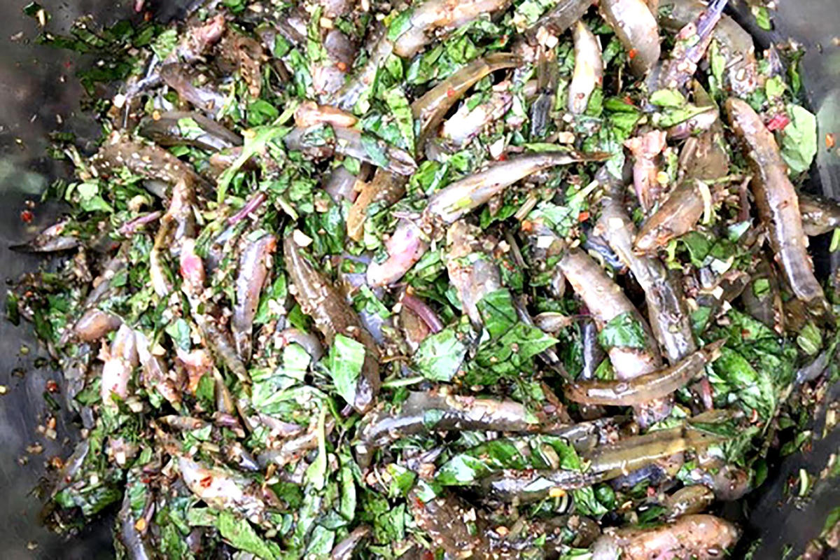 Cá bống được sơ chế, ngâm ướp các loại gia vị.