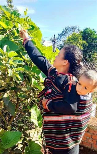 Người Ê-đê sử dụng địu để bồng bế, cõng trẻ hàng ngày.