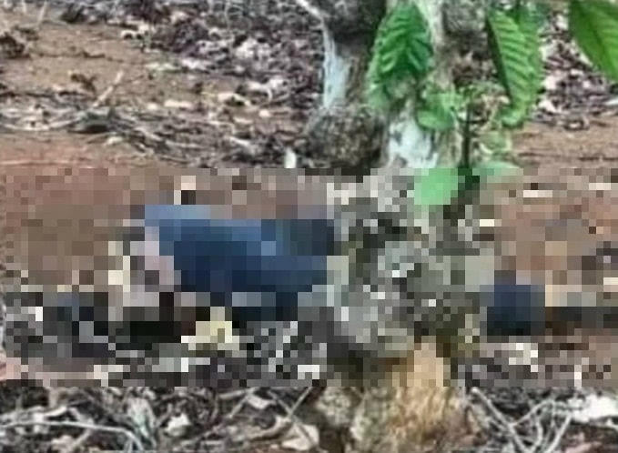 Thi thể nạn nhân không nguyên vẹn nhiều khả năng do động vật gây ra.