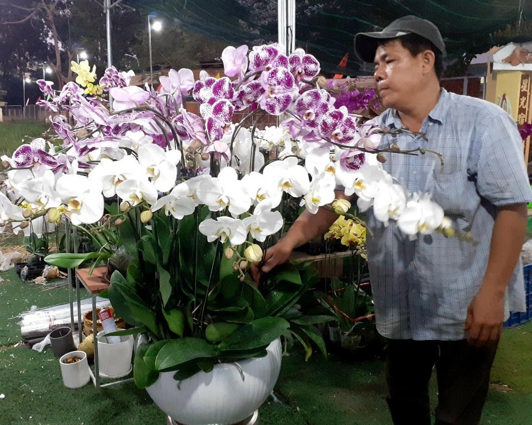 Những chậu lan được chăm sóc kỹ lưỡng tạo tính thẩm mỹ cao.