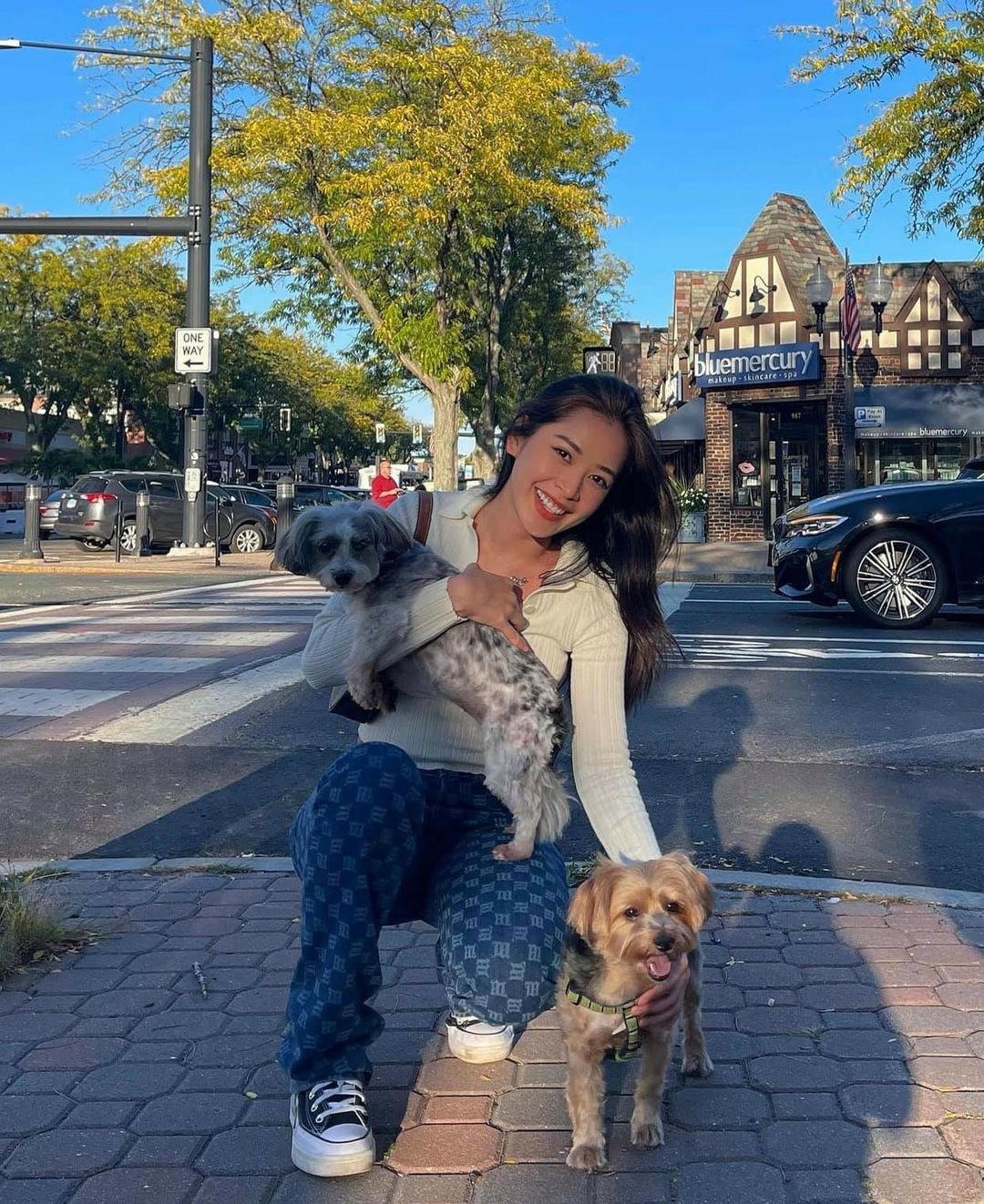 Các fan để lại nhiều bình luận khen ngợi về sự cố gắng cũng như dành nhiều lời chúc đến Chi Pu.