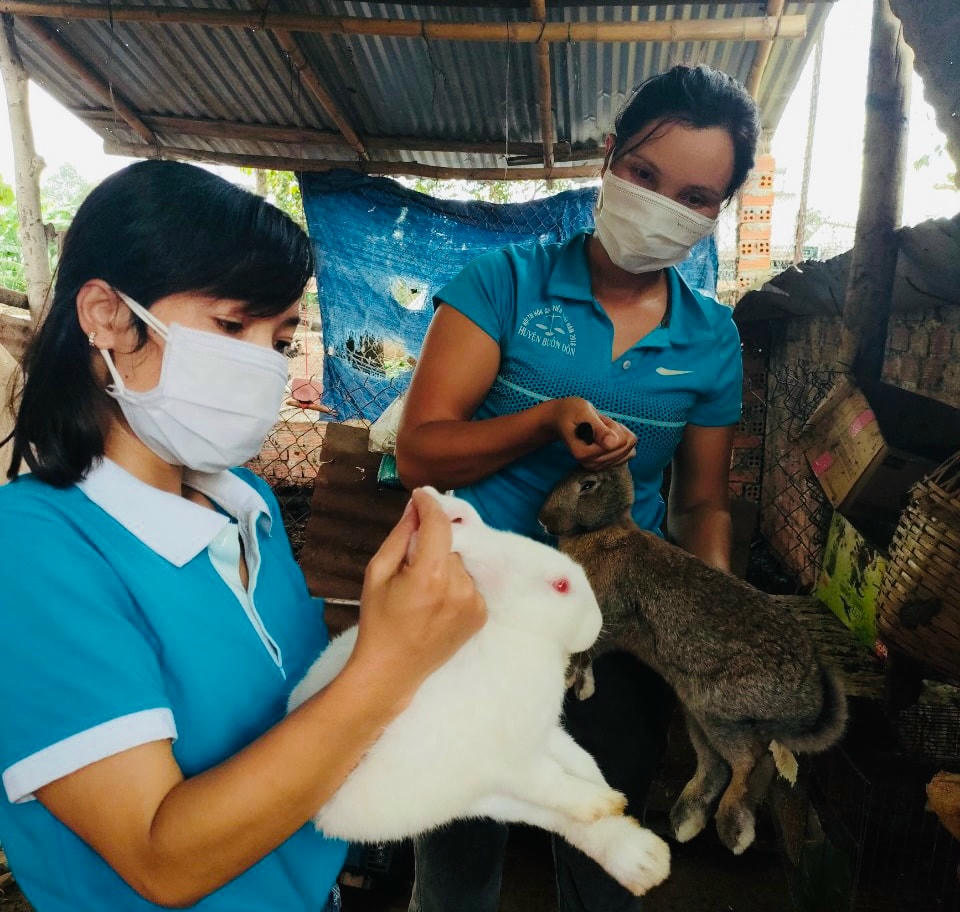 Mô hình nuôi thỏ ở xã Ea Nuôl (huyện Buôn Đôn) giúp hội viên thoát nghèo.