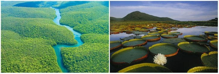 [ẢNH] 10 địa điểm bí ẩn trên thế giới chưa từng được con người khám phá