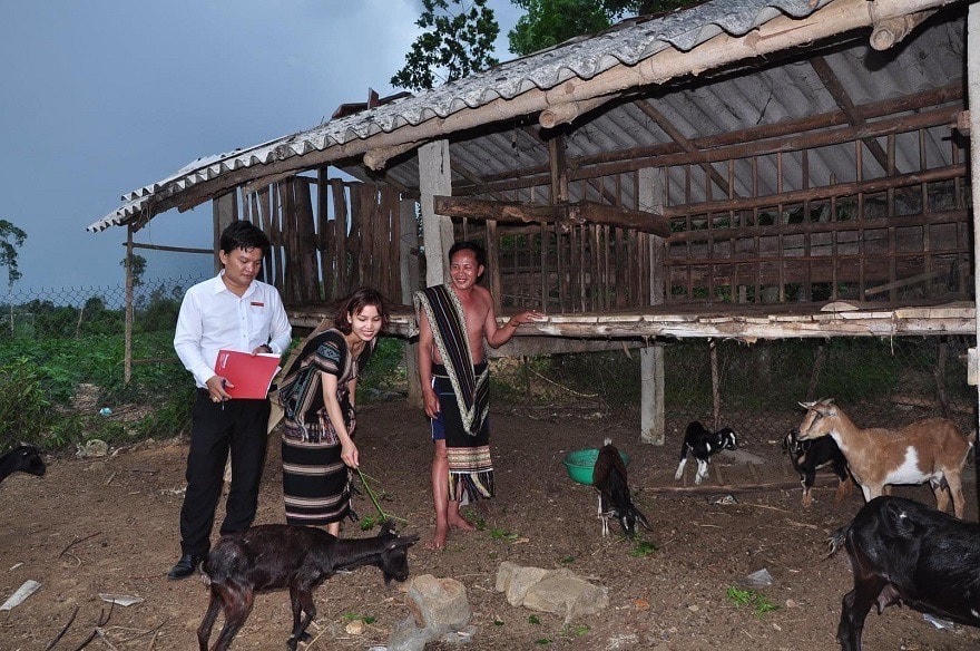 Nhờ nguồn vốn vay ưu đãi, nhiều chị em phụ nữ đã vươn lên, làm chủ trong cuộc sống.