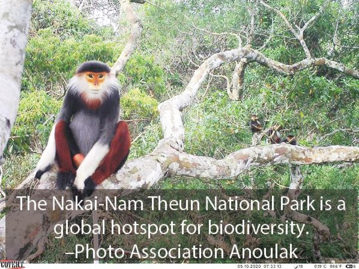 Phát hiện 36 loài động vật hoang dã có nguy cơ tuyệt chủng ở Trung Lào