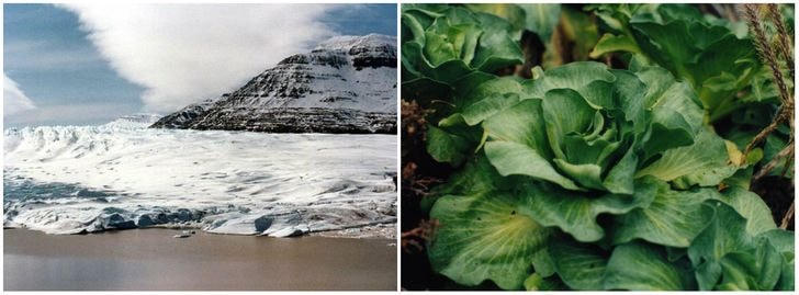 [ẢNH] 10 địa điểm bí ẩn trên thế giới chưa từng được con người khám phá