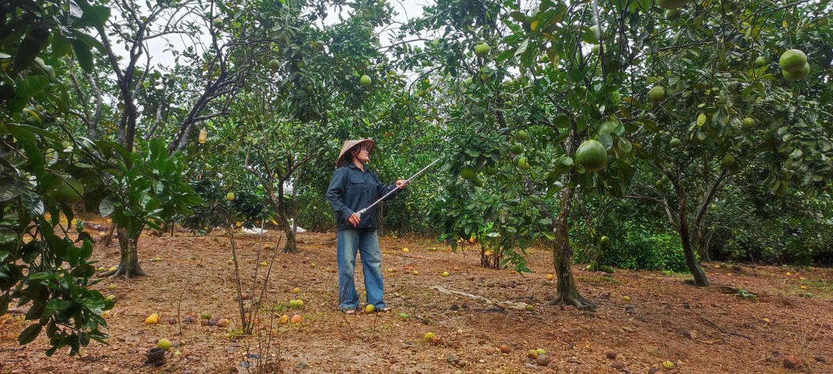 ảnh giảm nghèo 5