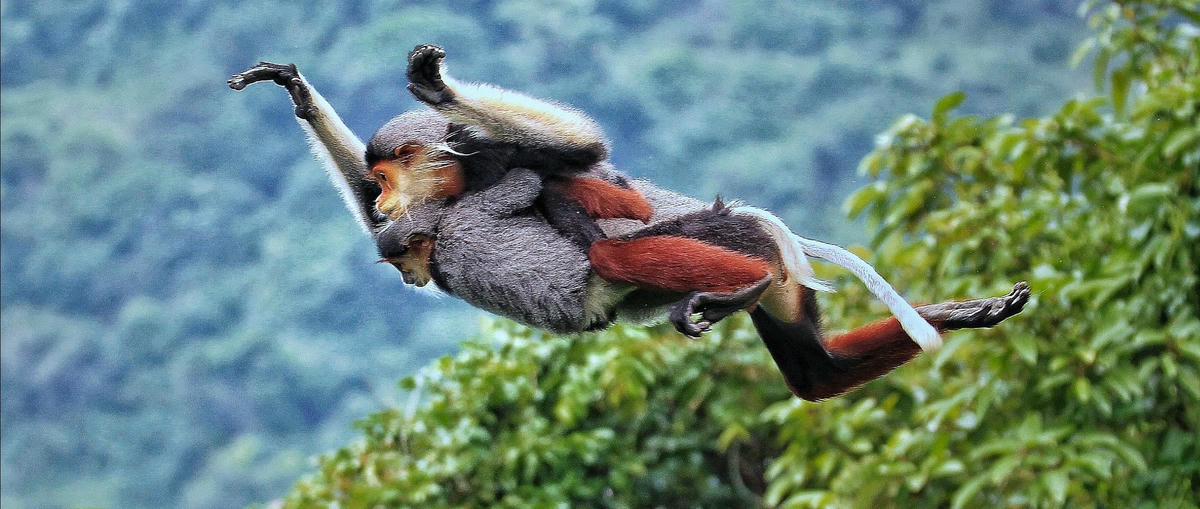 3-21 Bùi Thanh Lang_Đường về