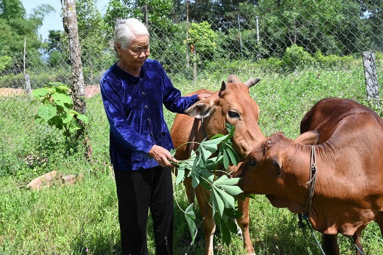 ảnh giảm nghèo 1 - ảnh ND