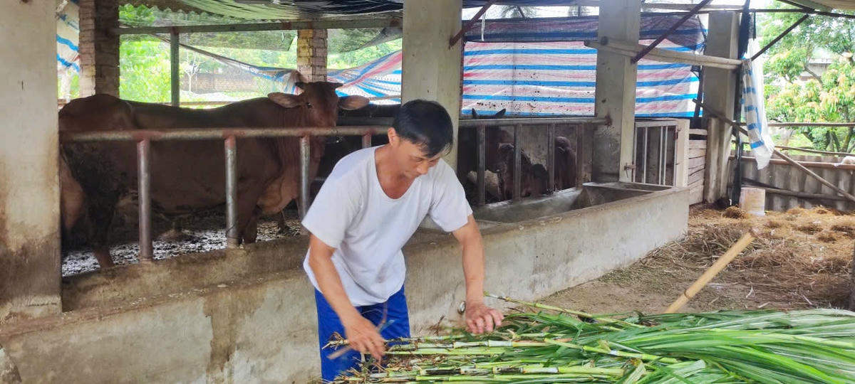 ảnh giảm nghèo 6