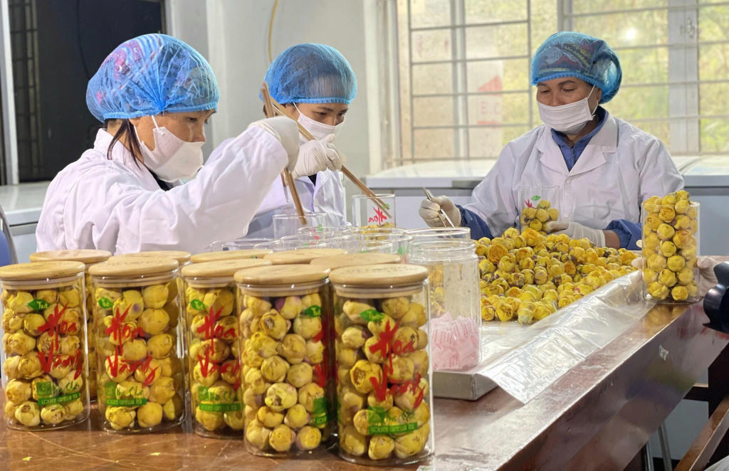 Các sản phẩm mới tham gia OCOP đều được tỉnh Quảng Ninh thẩm định, tư vấn, hướng dẫn và có quyết định chấp thuận tham gia. Ảnh: Thanh Hằng.