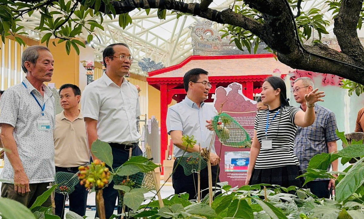 Lãnh đạo tỉnh Quảng Ngãi tham quan không gian trưng bày của địa phương. Ảnh: CV.