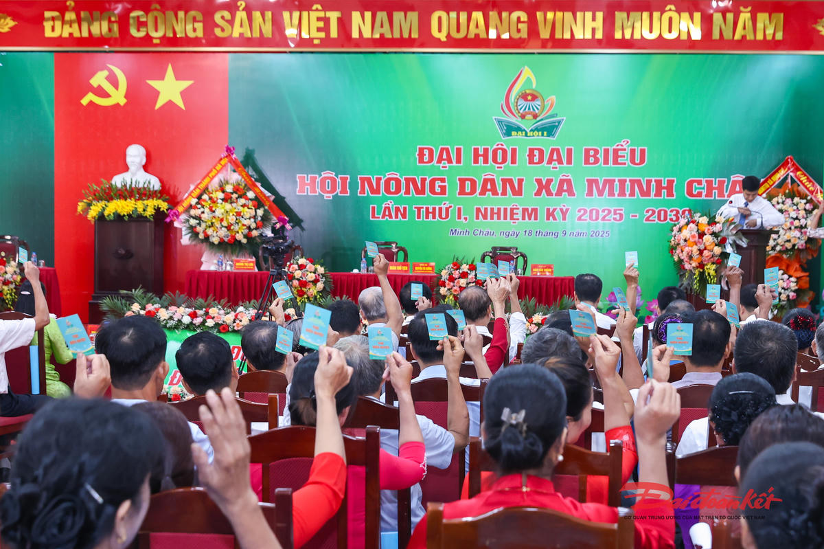 Các đại biểu tiến hành biểu quyết tại Đại hội. Ảnh: Quang Vinh.