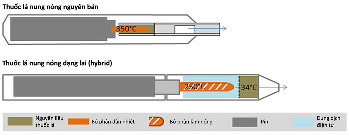 Thuốc lá nung nóng nguyên bản không chứa dung dịch như thuốc lá nung nóng lai (hybrid). Ảnh minh họa: Frontiers.