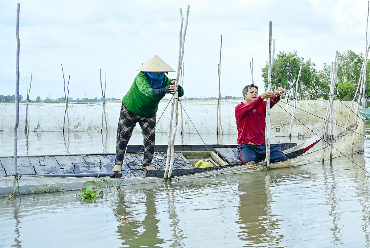 Để có được những sản vật mùa nước nổi, người dân phải ra đồng ban ngày để sửa lại dụng cụ đánh bắt như dớn, lưới, rập cua… Ảnh Nguyễn Minh