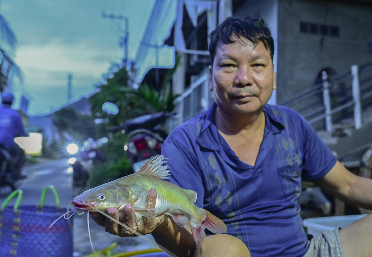 Người dân làm nghề lưới cho biết, mùa này cá lăng rất nhiều và khá to,
giá cao nên hễ trúng luồng là “hốt” tiền triệu. Ảnh Nguyễn Minh